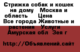 Стрижка собак и кошек на дому.  Москва и область.  › Цена ­ 1 200 - Все города Животные и растения » Услуги   . Амурская обл.,Зея г.